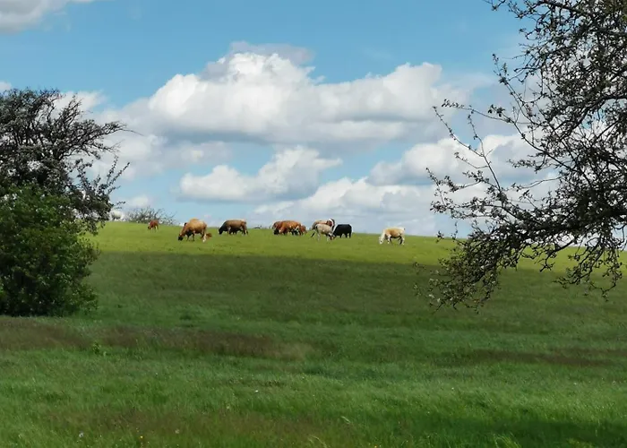 Schoene Aussicht Reelsen